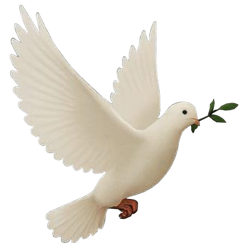 Home cropped icon.png